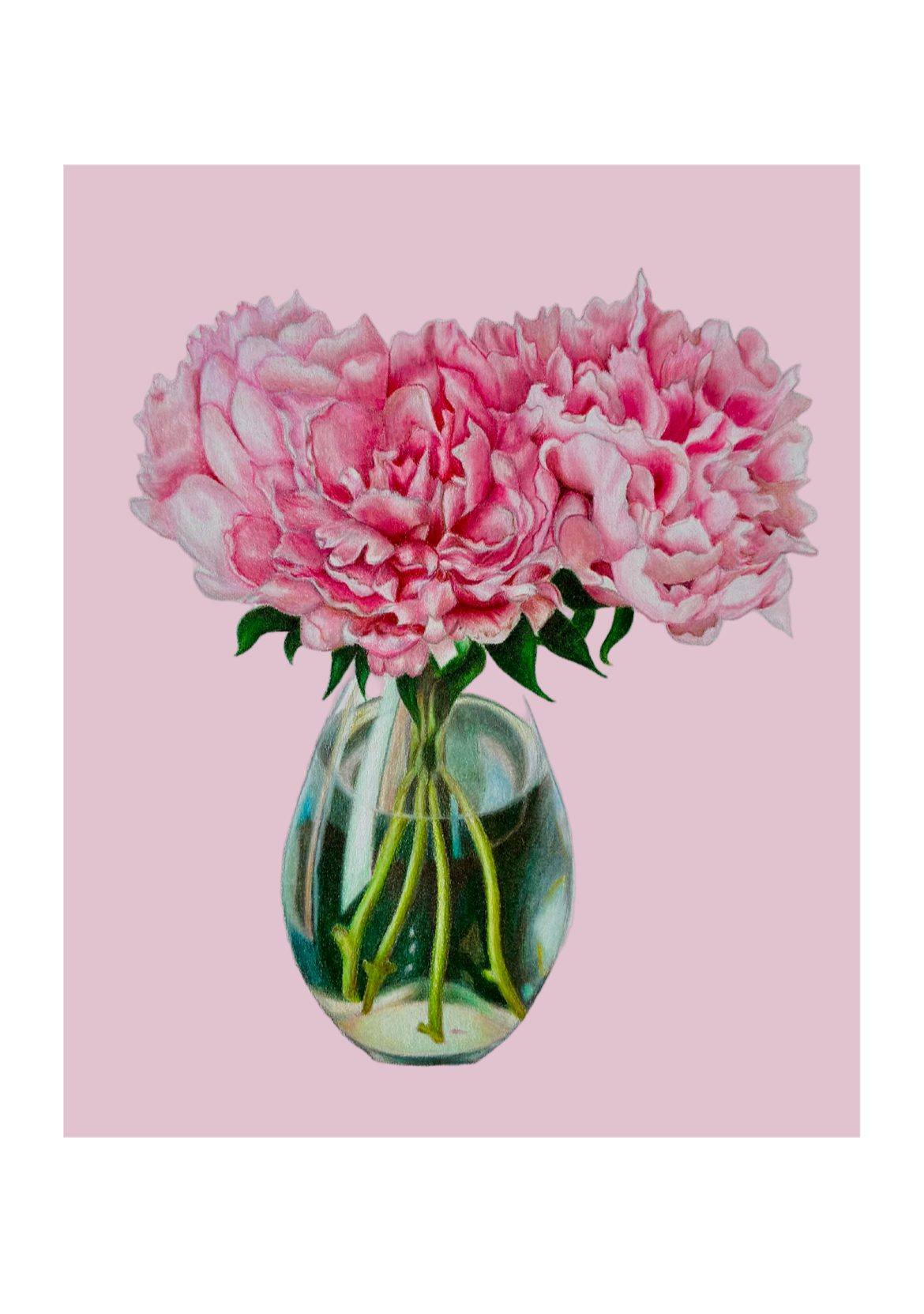 Peonies